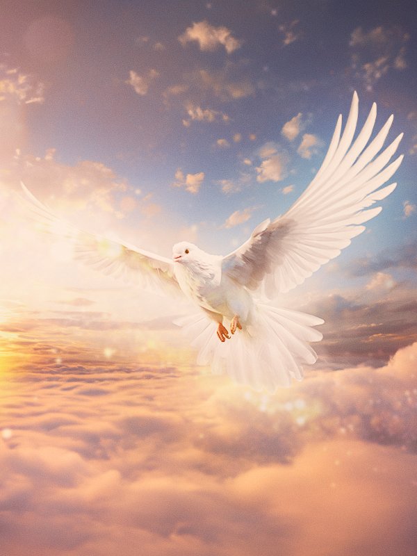 5. El Espíritu Santo